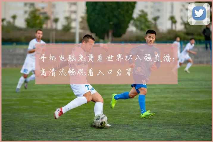 手机电脑免费看世界杯八强直播,高清流畅观看入口分享